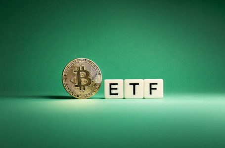 Bitcoin ETFs Record $556M Inflows, Marking Largest Day Since June